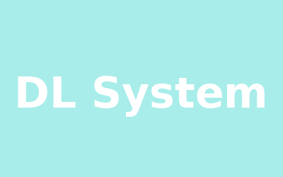 DL Delivery System